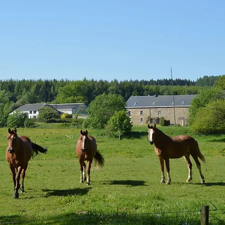 Feriehus Sam Suffit Tenneville